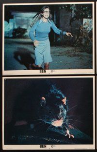 3h074 BEN 8 LCs '72 Joseph Campanella, lots of rats, Willard 2, this time he's not alone!