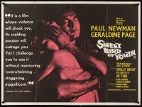 3m180 SWEET BIRD OF YOUTH British quad '62 Paul Newman, Geraldine Page, Tennessee Williams' play!