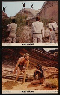 3m121 PLANET OF THE APES set of 8 color 8x10 stills '68 Charlton Heston, classic sci-fi!