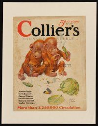3p098 COLLIER'S paperbacked magazine cover May 9, 1931 Lawson Wood wacky smoking orangutan art!