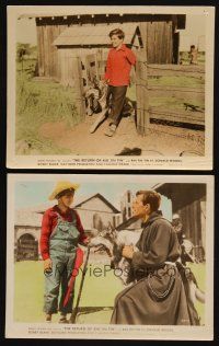 3w990 RETURN OF RIN TIN TIN 2 color 8x10 stills '47 both scenes showing canine animal star!