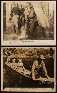 3w377 DISTANT DRUMS 4 8x10 stills '51 Gary Cooper in the Florida Everglades, Raoul Walsh!