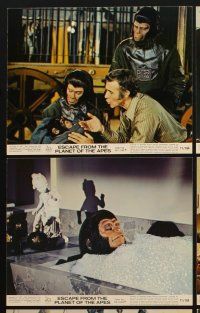 3w905 ESCAPE FROM THE PLANET OF THE APES 7 color 8x10 stills '71 Kim Hunter, Roddy McDowall!