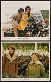 3w642 HAROLD & MAUDE 10 color Swiss 8x10 stills '71 close up of Gordon & Cort sitting by the ocean!