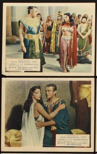 3w802 LAND OF THE PHARAOHS 8 color English FOH LCs '55 sexy Egyptian Joan Collins, Howard Hawks