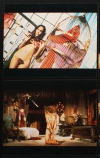 3y115 BEYOND THE VALLEY OF THE DOLLS 12 French LCs R80s Russ Meyer, Erica Gavin, Myers, Read!