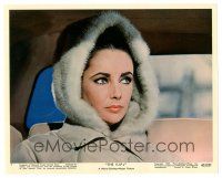 4b055 V.I.P.S color 8x10 still #7 '63 great close up of sexy Elizabeth Taylor in fur hood!