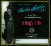 4e059 DOG'S LIFE glass slide '18 great c/u of Charlie Chaplin in his first Million Dollar Picture!
