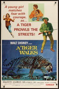 4c915 TIGER WALKS style A 1sh '64 Walt Disney, art of Brian Keith standing by huge prowling tiger!