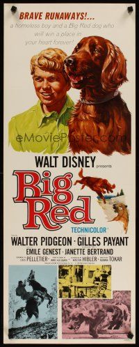 4g190 BIG RED insert '62 Disney, Walter Pigeon, cool artwork of Irish Setter canine dog!