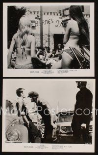 4p903 BORN LOSERS 2 8x10 stills R74 Tom Laughlin directs and stars as Billy Jack!