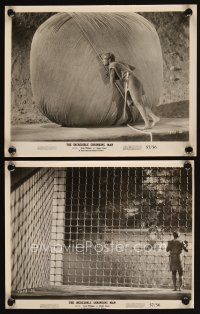 4p939 INCREDIBLE SHRINKING MAN 2 8x10 stills '57 fx images of tiny Grant Williams in cage & w/yarn!