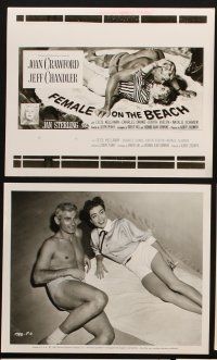 4p455 FEMALE ON THE BEACH 10 8x10 stills '55 Joan Crawford, Jeff Chandler, cool 24-sheet image!