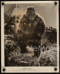 4p930 GORILLA AT LARGE 2 8x10 stills '54 both great scenes showing the huge wacky ape!
