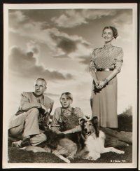 4p692 SUN COMES UP 6 8x10 stills '48 Jeanette MacDonald & Claude Jarman Jr. with Lassie by fence!