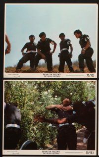 4p050 BLACK GESTAPO 8 8x10 mini LCs '75 The People's Army has declared war, The New Master Race!