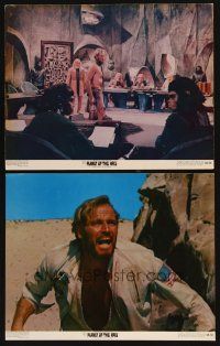4w483 PLANET OF THE APES 2 color 11x14 stills '68 apes gather to decide Charlton Heston's future!