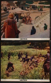 4w465 PLANET OF THE APES 4 color 11x14 stills '68 great images of apes + humans in cages!