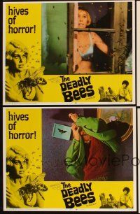 4w436 DEADLY BEES 6 LCs '67 hives of horror, fatal stings, great horror images!