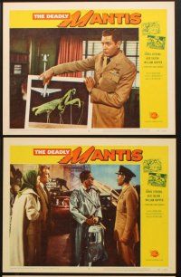 4w437 DEADLY MANTIS 6 LCs '57 Craig Stevens, William Hopper, Alix Talton, Universal sci-fi horror!