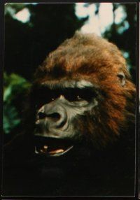 4x339 KING KONG LIVES 17 color Dutch 7.25x10.5 stills '86 cool different images of the huge ape!