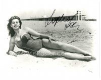 5a869 SOPHIA LOREN signed 8x10 REPRO still '80s super sexy full-length c/u in swimsuit on beach!