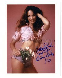 5a688 CATHERINE BACH signed color 8x10 REPRO still '90s super sexy portrait in Daisy Duke outfit!