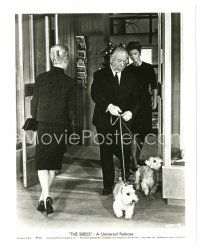 5d194 BIRDS 8x10 still '63 Alfred Hitchcock's famous cameo walking his dogs out of pet store!
