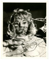 5d304 DIANE CILENTO 8x10 still '62 cool image looking at her reflection in broken mirror!