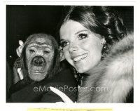 5d310 DOCTOR DOLITTLE candid 8x10 news photo '67 Samantha Eggar & Chi Chi the chimp at premiere!