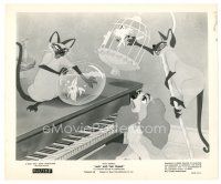 5d559 LADY & THE TRAMP 8x10 still R62 Disney classic cartoon, Lady with bad Siamese cats!