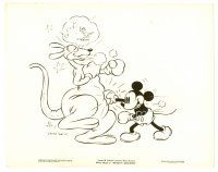 5d661 MICKEY'S KANGAROO 8x10 still '35 Disney, cartoon c/u of Mickey Mouse! boxing with kangaroo!