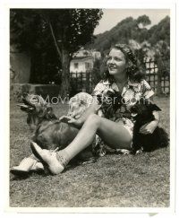 5d850 SISTERS candid 8x10 still '38 pretty Jane Bryan relaxing on the ground with her three dogs!