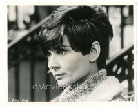 5d960 WAIT UNTIL DARK 8x10 still '67 great semi-profile portrait of pretty Audrey Hepburn!