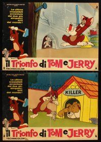 5f645 TOM & JERRY set of 3 Italian photobustas '64 great cartoon images, cat & mouse hi-jinks!
