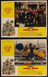 5m425 ANIMAL HOUSE 4 LCs '78 John Belushi, John Landis directed college fraternity classic!