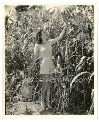 5x057 ANN SUMMERS 8x10 still '42 full-length close up picking corn straight from the field!