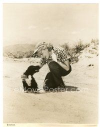 5x074 BAD DAY AT BLACK ROCK candid 7.5x9.5 still '55 Anne Francis makes friends with stray puppy!