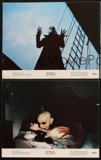 6d987 NOSFERATU THE VAMPYRE 3 color 11x14 stills '79 vampire Klaus Kinski feeding, Werner Herzog