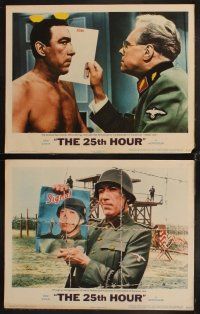 6d052 25th HOUR 8 LCs '67 Anthony Quinn, sexy Virna Lisi, Henri Verneuil, World War II