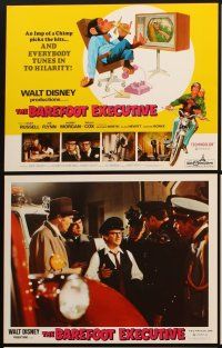 6d019 BAREFOOT EXECUTIVE 9 LCs '71 Walt Disney, armed security guards escort chimp from building!