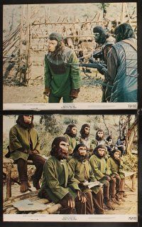6d109 BATTLE FOR THE PLANET OF THE APES 8 color 11x14s '73 great art of war between apes & humans!