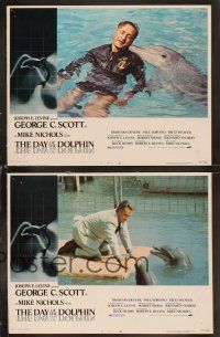 6d223 DAY OF THE DOLPHIN 8 LCs '73 George C. Scott & Trish Van Devere, Mike Nichols