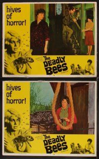6d826 DEADLY BEES 7 LCs '67 hives of horror, fatal stings, great horror images!