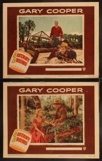 6d240 DISTANT DRUMS 8 LCs R56 Gary Cooper in the Florida Everglades, directed by Raoul Walsh!