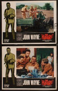 6d369 HATARI 8 LCs R67 Howard Hawks, great artwork images of John Wayne in Africa!