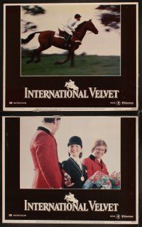 6d836 INTERNATIONAL VELVET 7 LCs '78 Tatum O'Neal, Christopher Plummer, horse racing!