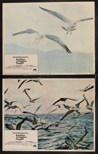 6d432 JONATHAN LIVINGSTON SEAGULL 8 LCs '73 great bird images, from Richard Bach's book!