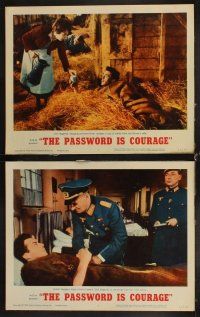 6d580 PASSWORD IS COURAGE 8 LCs '63 Dirk Bogarde in an English version of The Great Escape!