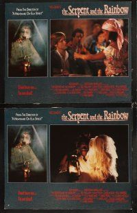6d650 SERPENT & THE RAINBOW 8 LCs '88 directed by Wes Craven, don't bury me, I'm not dead!